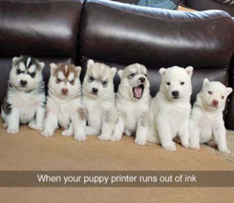 printer_runs_out_of_ink